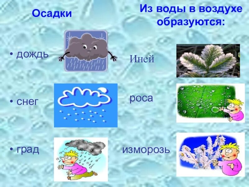 Роса состояние воды. Изображение осадков. Состояния воды для дошкольников. Дождь снег град. Виды зимних осадков.