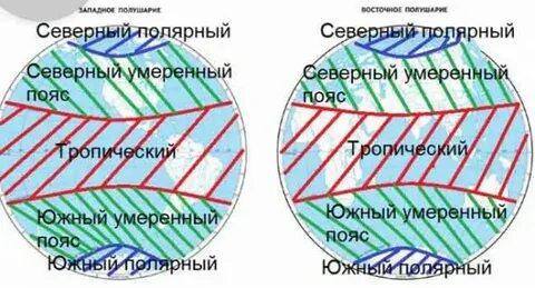 Обозначьте синим цветом южный полярный