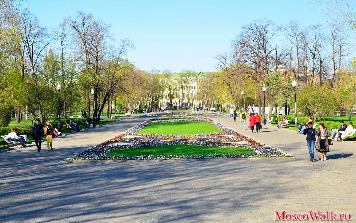 Болотная 18. Парк Репинский сквер. Сквер на Болотной площади в Москве. Болотный парк. Болотная улица парк.