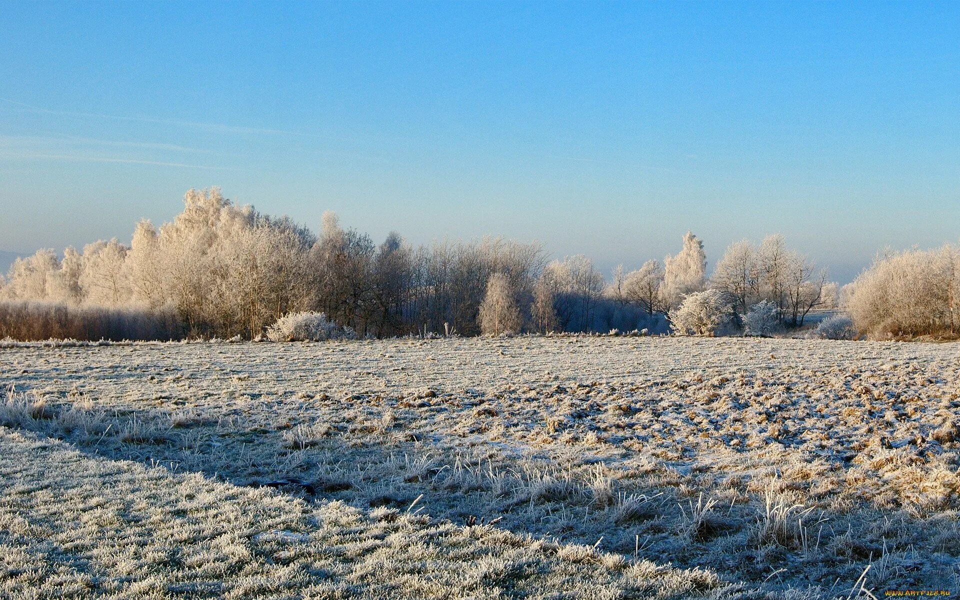 снежное поле. снег поле. снег поле. поле под снегом. широкое зимнее поле.