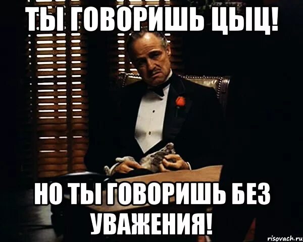 Что значит цыц. Цыц!. цыц мем. цыц я сказал. цыц картинка.