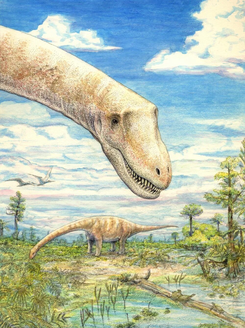 Какой 1 динозавр. Титанозавр зауропод. Патагонский титанозавр. Титанозавр Брум. Зауроподы мелового периода.