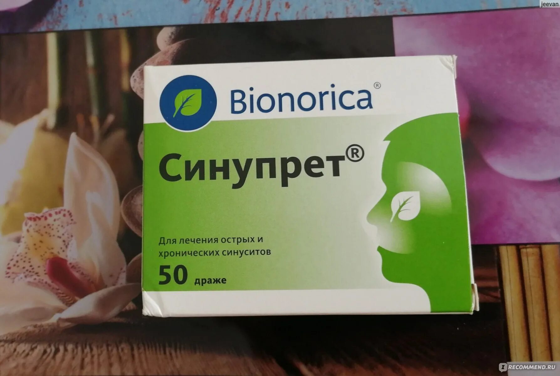 Давать ли синупрет. Бионорика синупрет. лекарство от гайморита таблетки синупрет. бионорика от синусита. bionorica препараты для женщин.