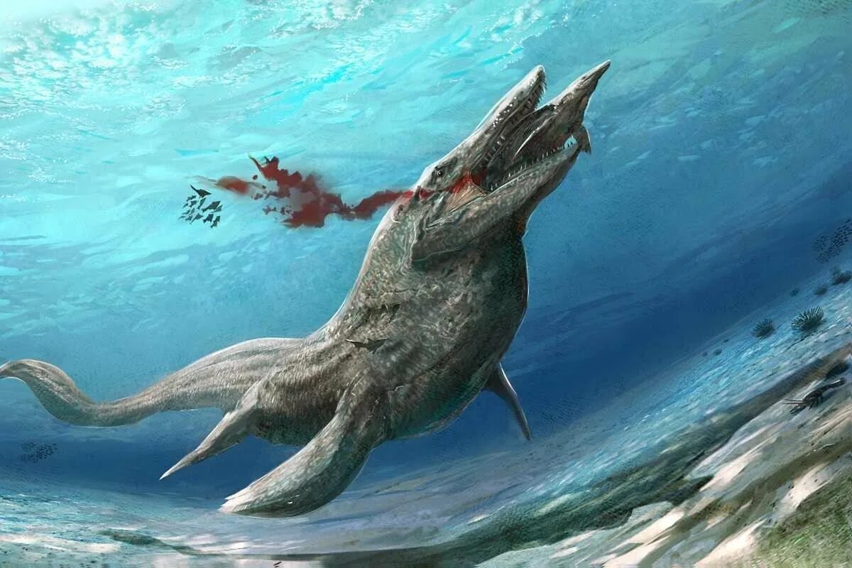 Чудища морей. Мозазавры и тилозавры. Тилозавр. Tylosaurus-Тилозавр. Доисторическая акула Мозазавр.