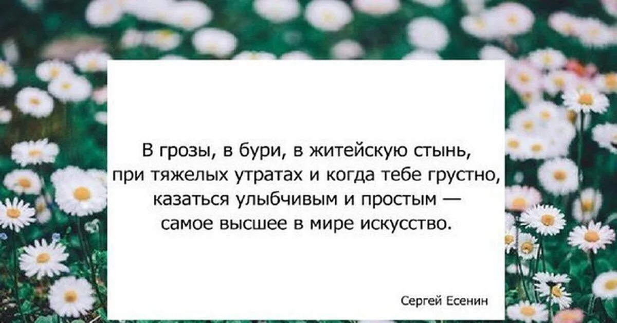 Житейских гроз. Быть улыбчивым и простым самое. В грозы в бури в житейскую стынь. Когда тебе грустно казаться улыбчивым и простым самое. В бури грозы житейскую стынь при тяжёлых утратах и когда тебе грустно.