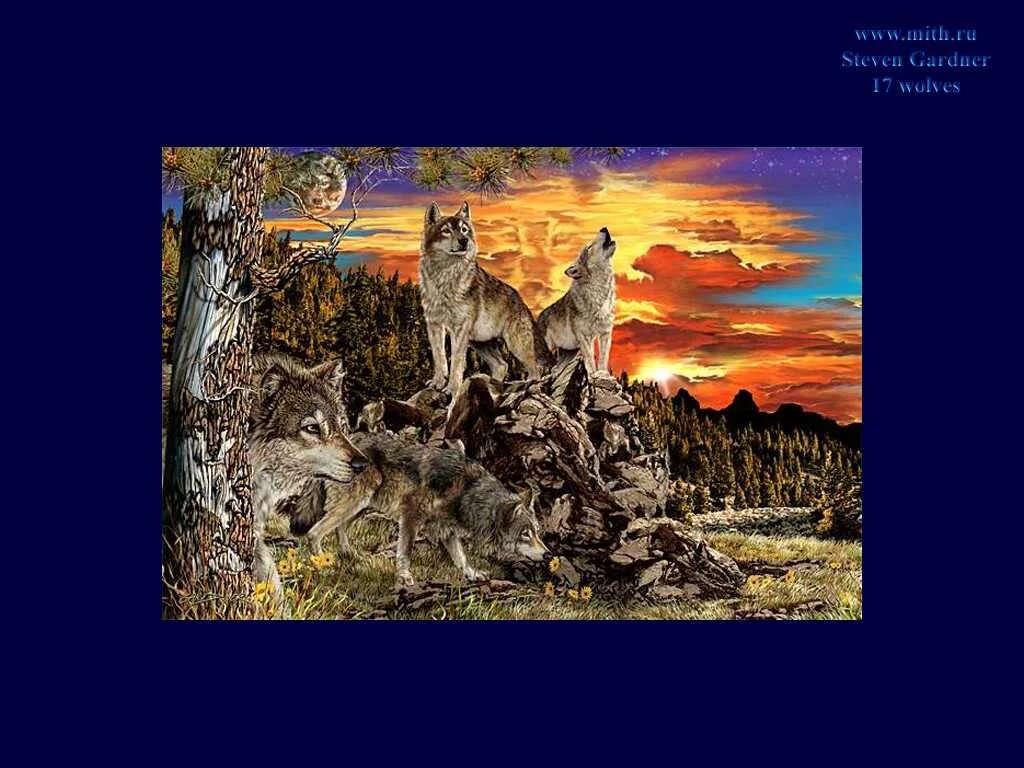 старый волк. картины загадки стивена гарднера. выбери волка. нужно найти волка. волк и волчица.
