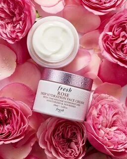 Fresh rose
