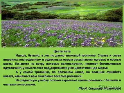 Песня ах каким ковром расстилалась трава