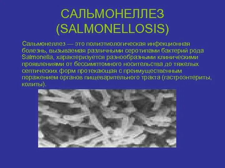 Патогенез сальмонеллеза. Септическая форма сальмонеллеза. Локализация патологического процесса при сальмонеллезе. Сальмонеллез клиническая картина. Генерализованная форма сальмонеллеза