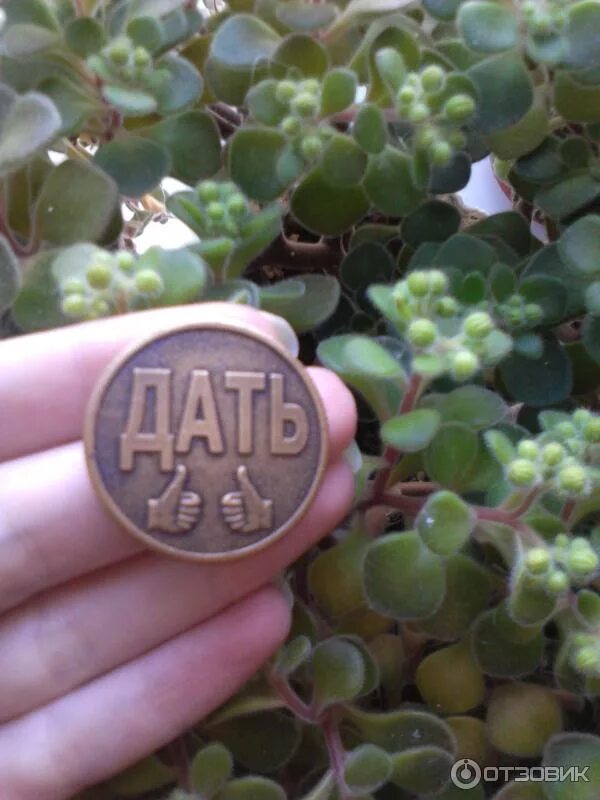 Не давать что такое монетка это. Штамповка монет. Монеты приколы. Монета дать не дать. Аварские монеты.