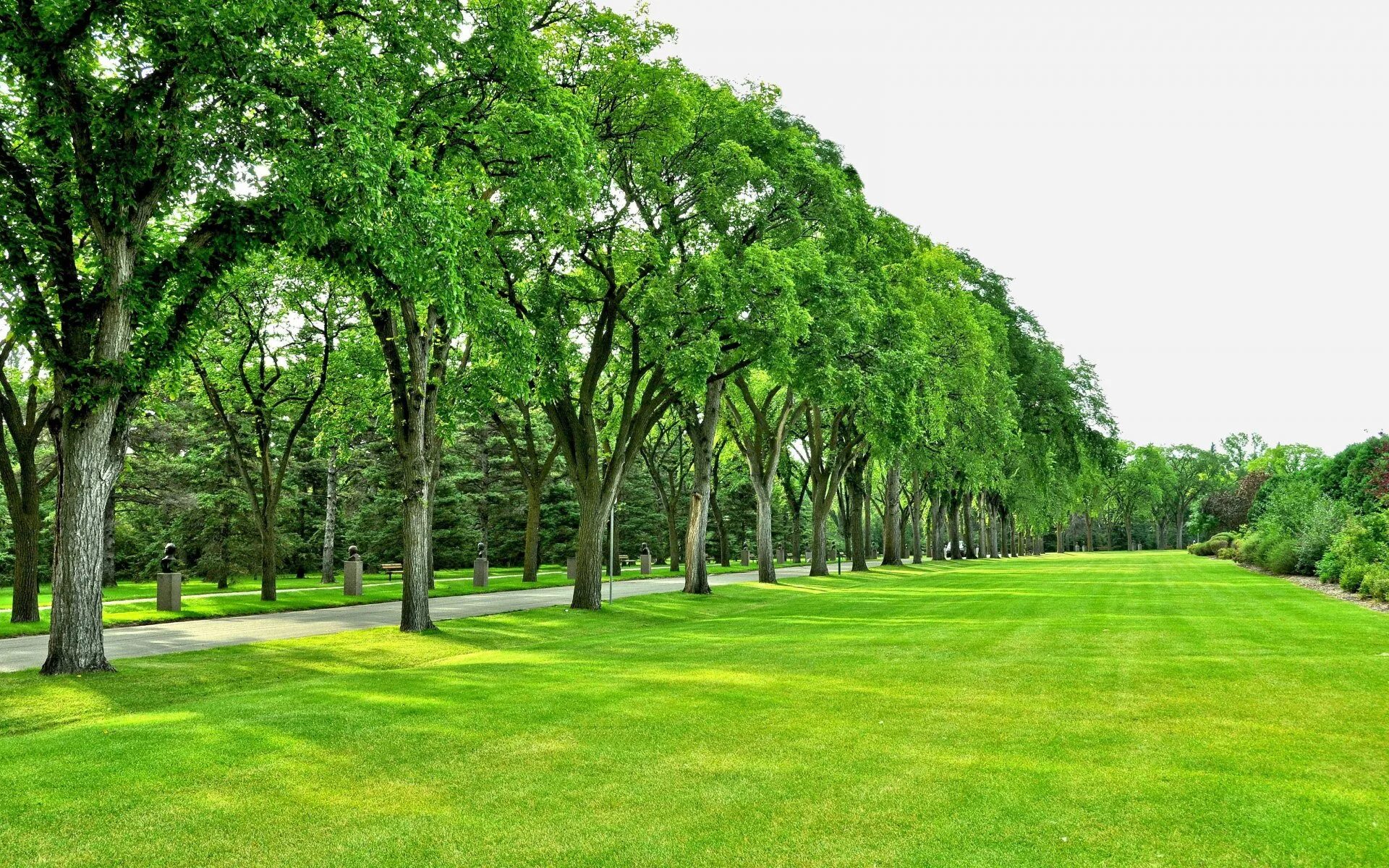 Park in. Сквер Раисы Штрейс Санкт-Петербург. Парк Монсо газон. Парк деревья газон Душанбе. Парк ноус-Хилл.