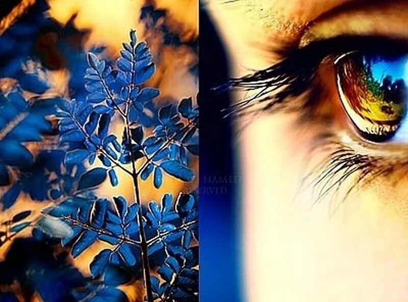 Видео зеркало души. Глаза отражение души. Отражение человека в глазах. Глаза это отражение души человека. Зеркало души.