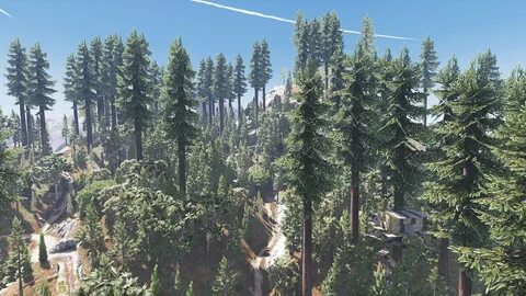 Forest 5
