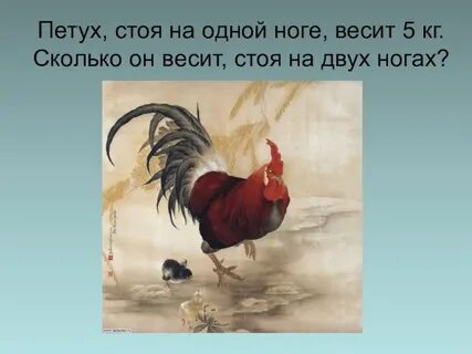 Петушок стоит