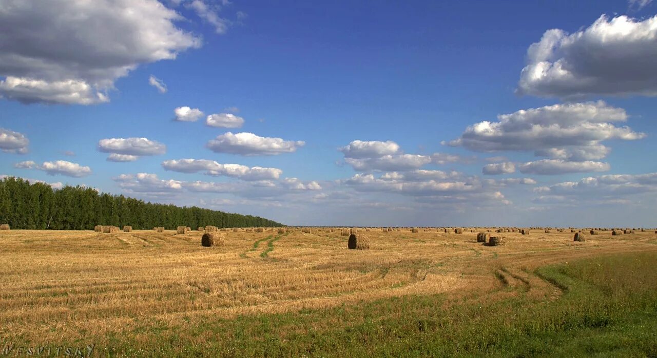 Степи Ростовской области. Донские степи Ростовской области. Ростовские просторы. Природа Ростовской области. Сено ростовской области