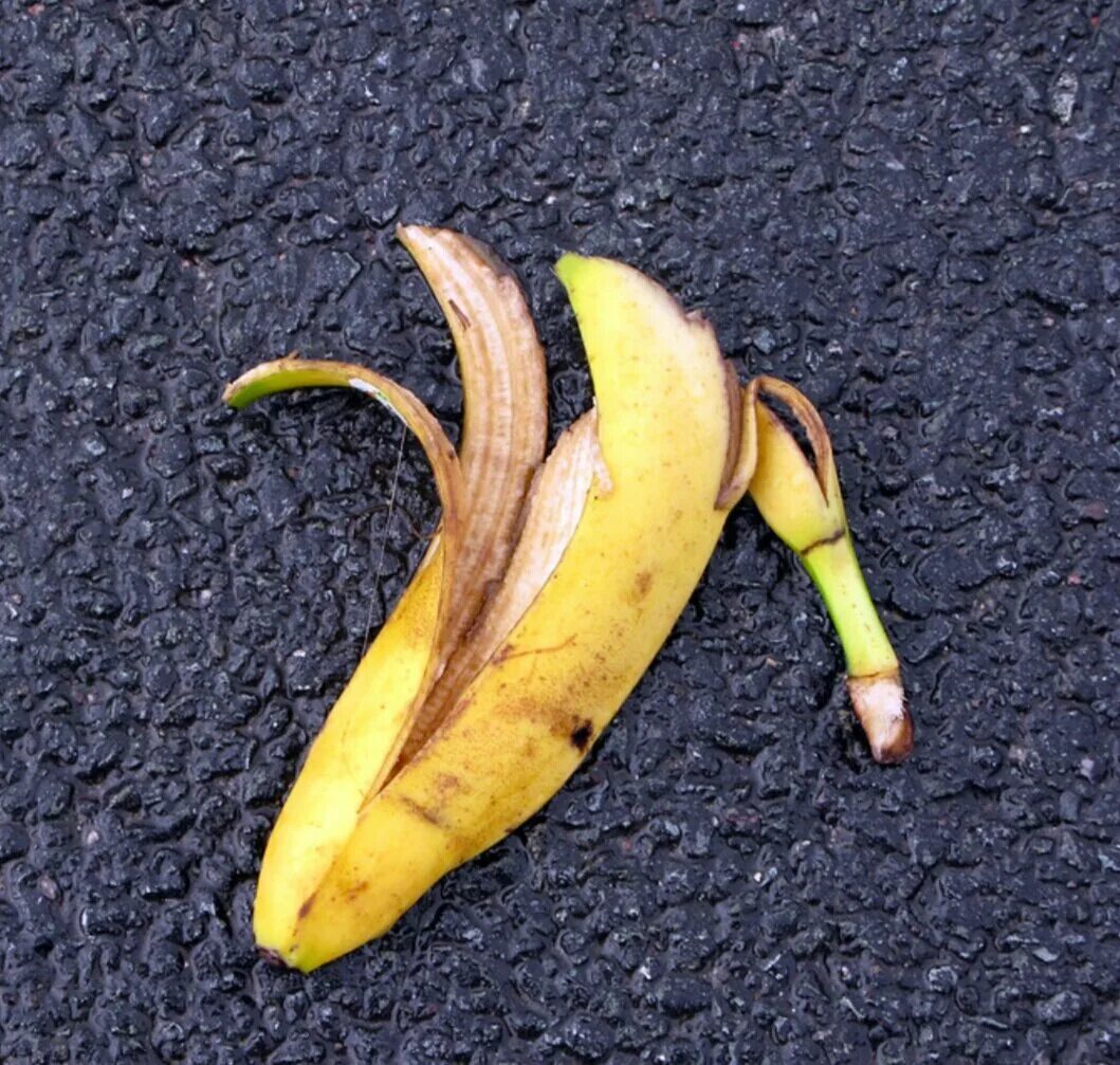 Ел кожуру бананов. Банановая кожура. Земля для банана. Грунт для банана. Банан без кожурки.