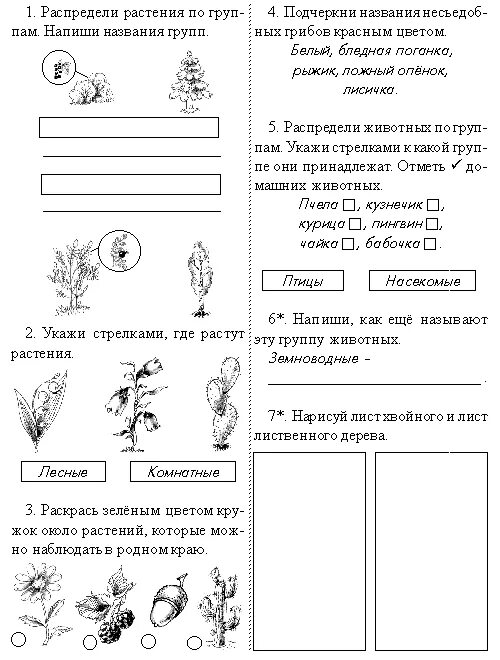 Рубежная контрольная работа по окружающему миру. Контрольные работы по окружающему миру 1 класс школа России. Задания по окружающему миру 2 класс школа России. Задания по окружающему миру 1 класс. Задания по окружающему 1 класс.