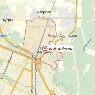 Девяткино 39