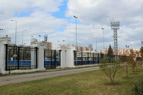 Чайка автозаводский