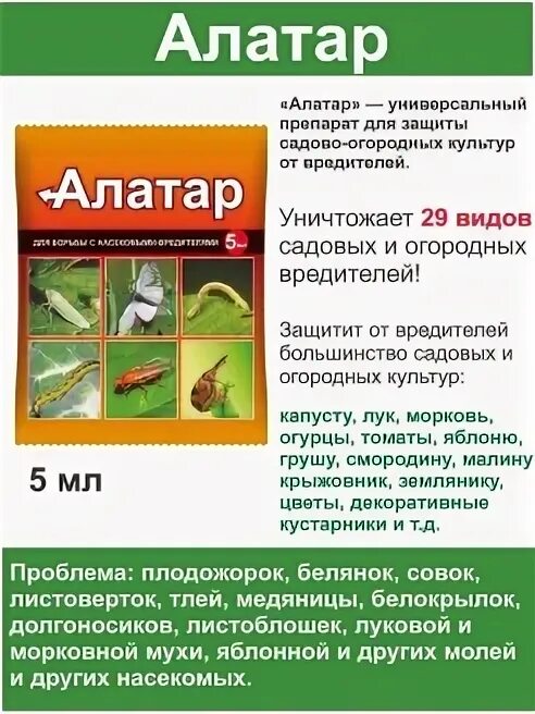 Алатар инсектицид. Алатар инсектицид. Алатар фото. Алатар от морковной мухи. Жук)вх.