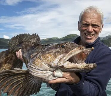 See fish