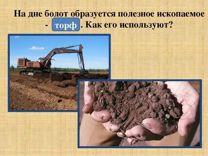 Торф природное ископаемое