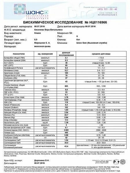 Снижение белка в биохимическом анализе крови у больного. Биохимический анамнез мочи нормы. Общая биохимия мочи. Биохимия мочи показатели нормы. Биохимическое исследование мочи норма.