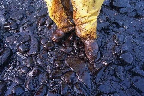 Экологическая опасность нефти