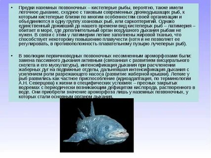 Ядовитые животные из класса лучеперые рыбы это
