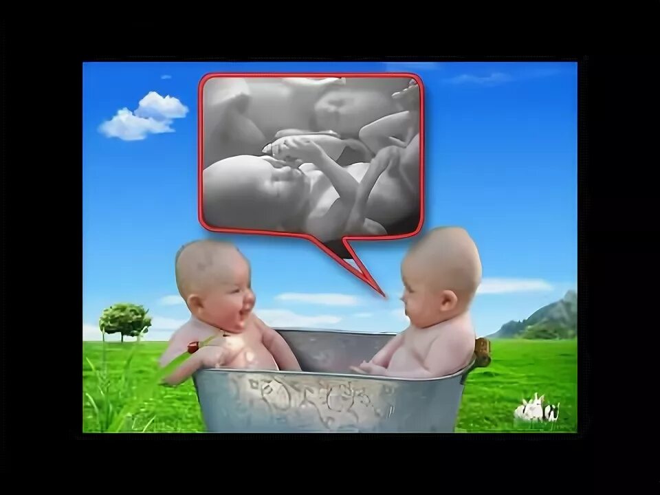 Четыре стадии рождения