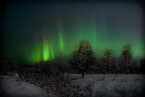 Тундра ночью
