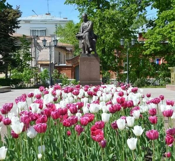 Тюльпаны нижнекамск. Сквер 60 летия Победы Ульяновск. Цветники Ульяновск. Тюльпан Ульяновский. Тюльпаны Ульяновский Совхоз.