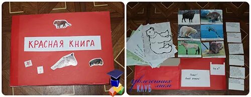 Творческая поделка - лэпбук "Красная книга России" Клуб Увлечённых Мам