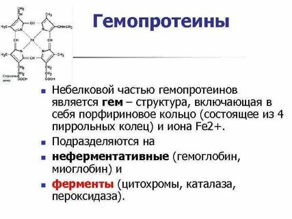 Биологическая роль гем содержащих белков