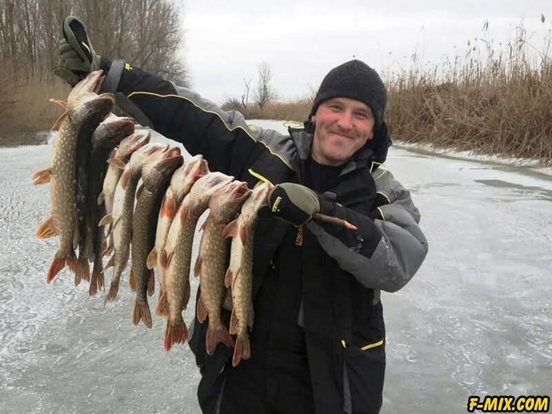 Где зимой ловят рыбу. Зимняя рыбалка в Астрахани. Рыбалка на Волге зимой. Рыбы зимой. Рыбалка в Астрахани зимой.