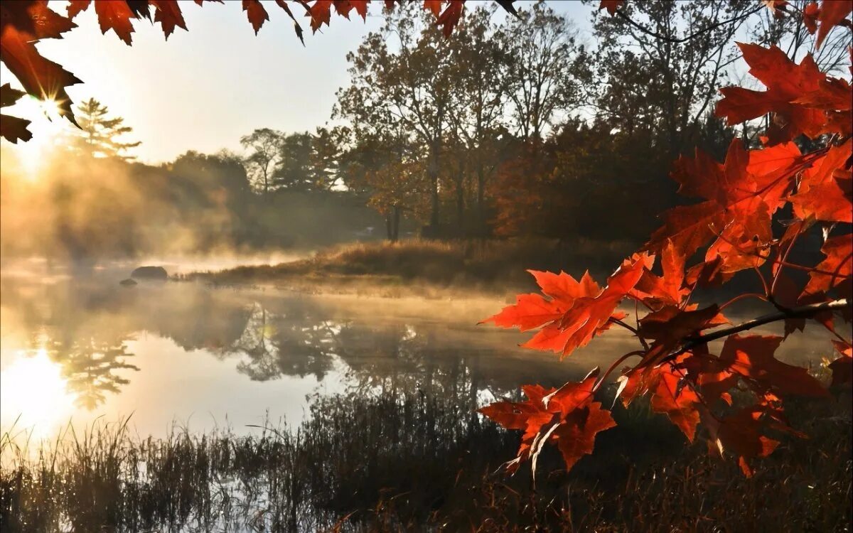 Осень звон. Осеннее утро. Осенний мотив. Осеннее утро пейзаж. Осенние мотивы фото.