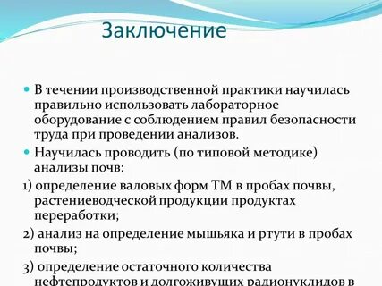 Чему новому научились на практике
