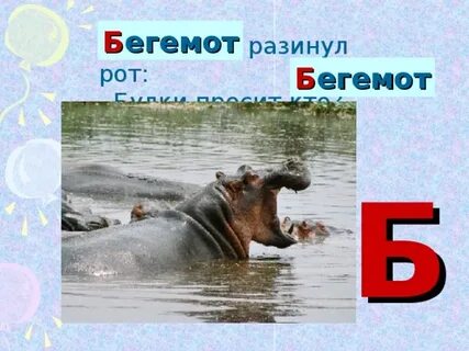 Бегемот разинул рот просит
