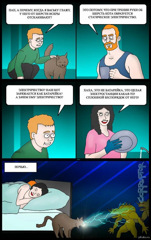 Почему кот бьется током
