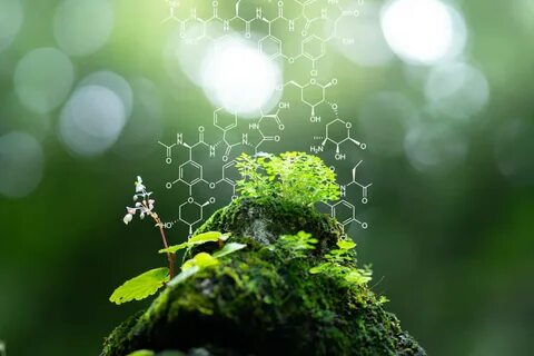 Biological environment