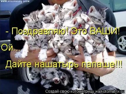 Ой дай ой дай дай