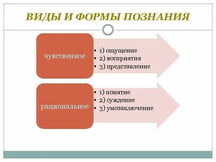 Виды и формы познания. Ощущение представление суждение восприятие форма познания. Формы познания представление умозаключение. Характеристика видов познания.