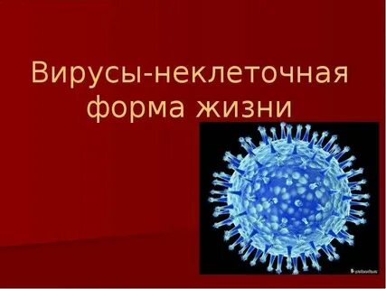 Неклеточные