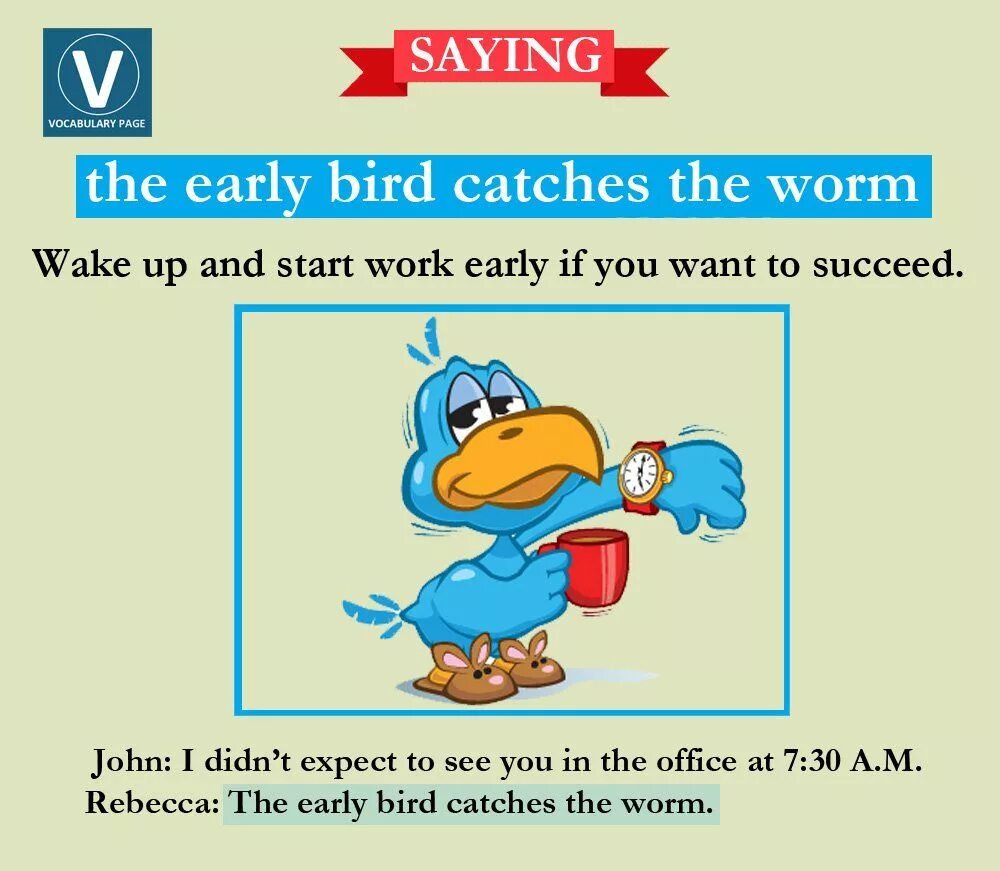 The early Bird catches the worm. The early Bird catches the worm meaning. The early Bird catches the worm русский эквивалент. An early Bird catches. Birds catch