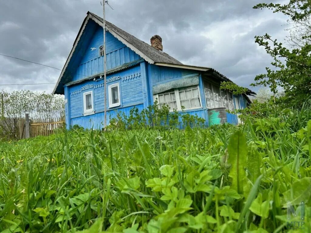 Купить недвижимость псковская область. Деревня Которск Плюсского района. Деревня Кошелевицы Плюсский район. Которск Псковская область. Деревня Лядинки Псковская область.