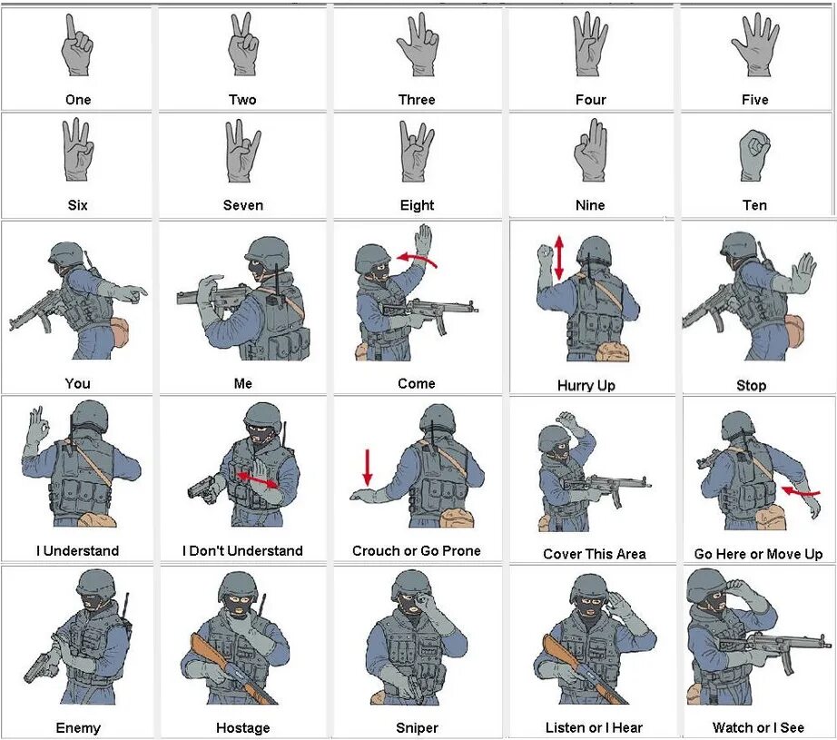 Условные жесты спецназа. Сигналы спецназа жестами. Язык жестов спецназа. Язык жестов спецназа. Язык жестов спецназа.