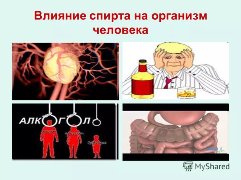 влияние этилового спирта. действие спиртов на организм человека химия. воздействие на организм этилового спирта. воздействие этанола на организм. влияние спиртов на человека.