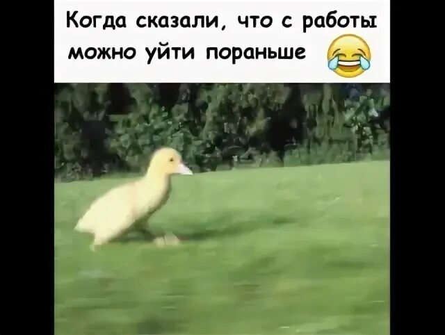 Можно уйти пораньше