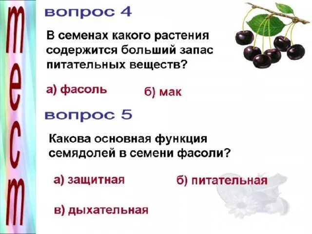 В каких структурах содержится запас питательных веществ. Запас питательных веществ в семени растения. Питательные вещества в семени фасоли. Запас питательных веществ в семени фасоли. Где у фасоли питательные вещества.