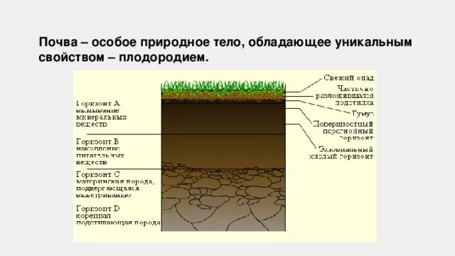 Опорный конспект по теме почва. Почва особое природное тело. Почва это особое природное. Почва особое природное тело конспект. Почва особое природное тело 8 класс презентация